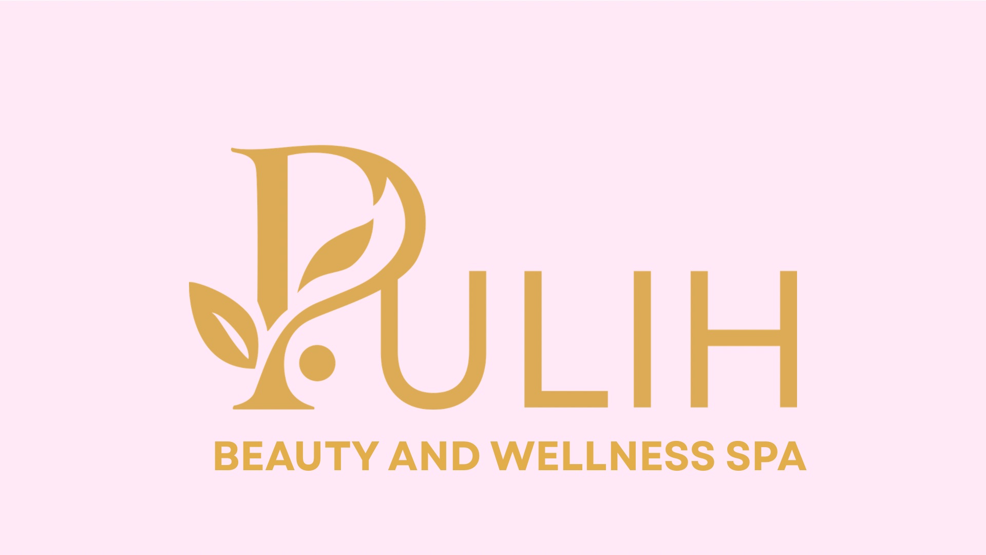 PULIH TRANSFORMATION PROMO